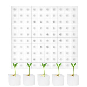 水耕栽培スポンジ 水耕栽培鉢 スポンジ付き 円筒形 通気性 植えるスポンジ 水耕スポンジ 野菜植え 植物栽培 花 植栽用 庭園苗運搬 苗床 室内 菜園 培地 ガーデニング 園芸用 (ホワイト)
