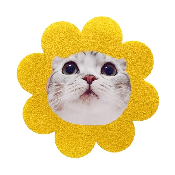 PET ꥶ٥顼 ǭ ɡʥĥ顼 ꥶ٥ ե  ե 襤  ǥ  ʤɻ ߤɻ...