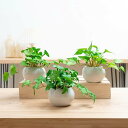 フェイクグリーン 卓上 ミニ 3点セット 鉢付き 人工観葉植物 おしゃれ インテリア雑貨 世話いらず 水やり不要 オフィス ホームデコレーション ギフト向け 結...