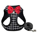 Tibemi 犬 猫 ハーネス リードセット 鈴付き 可愛い 蝶ネクタ 猫用ハーネス 抜けない 胸あて式 牽引ロープ 猫 ハーネス メッシュ ポリエステル製 格子縞 小型犬 猫 はーねす リード 調整可能 お出掛 散歩 簡単脱着式 引っ張り防止 XL