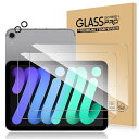 【2+2枚セット】For iPad mini7(A17 Pro)2024 フィルム 強化ガラス(2枚)+カメラフィルム(2枚) 9H硬度 液晶保護 耐衝撃 全面保護 高透過率 指紋防止 取り付け簡単 防水 気泡ゼロ iPad Mini 第7世代 ガ