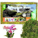 水苔 - 天然水苔 水苔 圧縮水苔 ミズゴケ 150g 胡蝶蘭 植え 替え水苔 園芸用 培養土 みずごけ園芸用土 土壌改良材 水耕用肥料蘭用ミズゴケ 水草基質 栄養素が豊富 多肉植物 観葉植物 植 虫植物 爬虫類植物土壌 植物の成長培養 鉢土の乾燥防