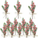 クリスマス 人工松ピック 12個セット クリスマス 飾り ミニ人工松ぼっくり レッドベリー 雪 造花 フラワーアレンジメント クリスマスリース グリーティングカードの装飾 屋内 屋外 パーティー DIY 装飾 デコレーション用 ギフト