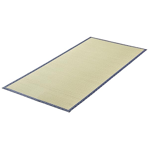 い草 上敷き 1畳 江戸間 ござ ラグ カーペット 引目織り 長持ち 抗カビ 両面使える 和室 和風