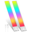 人感センサーライト LEDセンサーライト 40cm バーライト カラフル&昼白色 無段階調光 Type-C 充電式ライト 階段ライト 120° 3M誘導距離 屋内 マグネット 配線工事不要 超薄型設計 省エネ 高感度 間接照明 寝室 廊下 階段 玄関