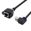 、ローアングル90度STP UTP Cat 5eケーブル、オスからメス、ネットワークパネルマウントイーサネット延長ケーブル30 cm(2)