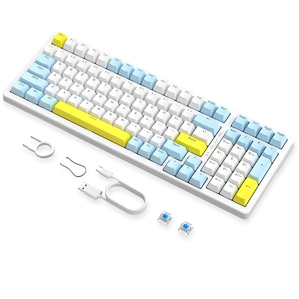 ZIYOULANG K3MAXメカニカル ゲーミング キーボード ホットスワップ対応 有線 96% 100キー 青軸 標準