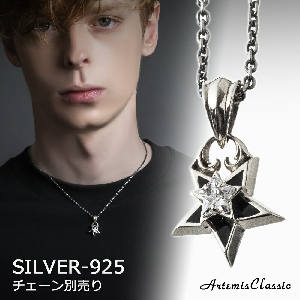 アルテミスクラシック ArtemisClassic ダブルスターペンダント トップのみ ACP0343【skz】ブランド メンズ レディース ネックレス シルバー925 シンプル カジュアル 大人 かっこいい かわいい 小ぶり 一粒 ストーン 男性 女性 誕生日 プレゼント ギフト クリスマス