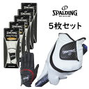▼5枚セット▼スポルディング ゴルフグローブ 左手用 SPGL−3656 PRACTICING /SPALDING /ゴルフグローブ