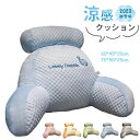 【1点8%OFF 2点12%OFFクーポン】クッション 涼感 アイスシルク2in1多機能クッション 涼感アイスシルククッション クッション 腰&背中の伴侶 腰&背中にフィット 人間工学 涼しい クッション 大きい 背もたれ 腰痛対策クッション 取り外し可能 サイズ65×45cm/75×50cm
