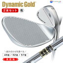 【2本セット】ダイナミクス ハイスピンウェッジダイナミックゴールド シャフト(48度 + 52度+57度)ダイナミックゴールド シャフト ワークスゴルフ Wor...