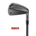 テーラーメイド P790 ('25) Designer Series アイアン 6本セット (#5〜PW) Taylor Mad