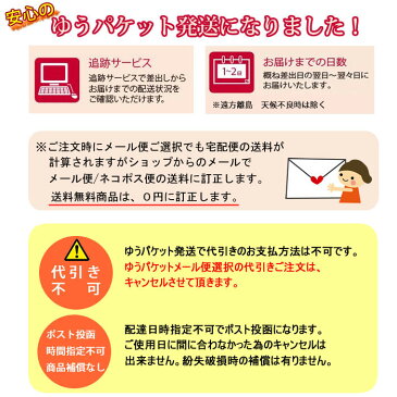 在庫限り【送料無料】子供 水着セット【90/100/110/120/130/140/150】白に赤のギンガムチェックがキュートなワンピース水着【帽子付き】レッド ホワイト 赤 白 子供用水着　子供水着　女の子　キッズ水着 キッズ 水着 女の子 水着 キッズ