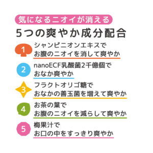 シャンピニオンゼリー「ニットー」L150g(30粒)【日東製薬/便臭/オナラ臭/軽減/シャンピニオンエキス/梅果汁/乳酸菌/お茶の葉】