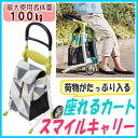 【送料無料】スマイルキャリーお出掛けカート ショッピング お...
