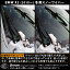 楽天1位 BMW X3 雪用ワイパー 左右セット (2010～) [ F 25 ] WX30 WX35 | F25 3シリーズ xDrive スノーワイパーブレード ワイパーブレード ワイパー 冬用ワイパー スノーワイパー ウィンター ウインター ブレード アーム 雪用 冬用 雪 冬 用 スノー ワイパーゴム 替えゴム