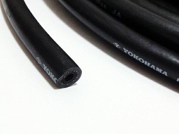 ��ŷ1�� ���ڤ����ۥ������ۡ��� ���ͥ��� ��� 7.9mm �� ���� 14mm �� 50cm | �ե塼����ۡ��� ǳ���ۡ��� ������� ���� ���� ǳ�� �ۡ��� ���� �� �襳�ϥޥ��� ���塼�� �� ����������� ���� �������� �������� �Ѱ� ���å�