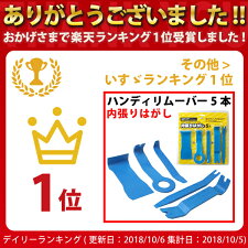 【総合評価4.6】ハンディリムーバー5個セット