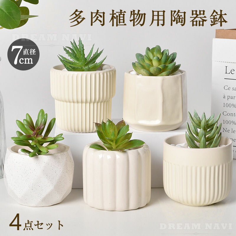 【月末セール特別アイテム②】4号鉢5点セット Amazon.co.jp: T4U 植木鉢 多肉植物鉢 サボテン鉢 おしゃれ 2号鉢 陶器