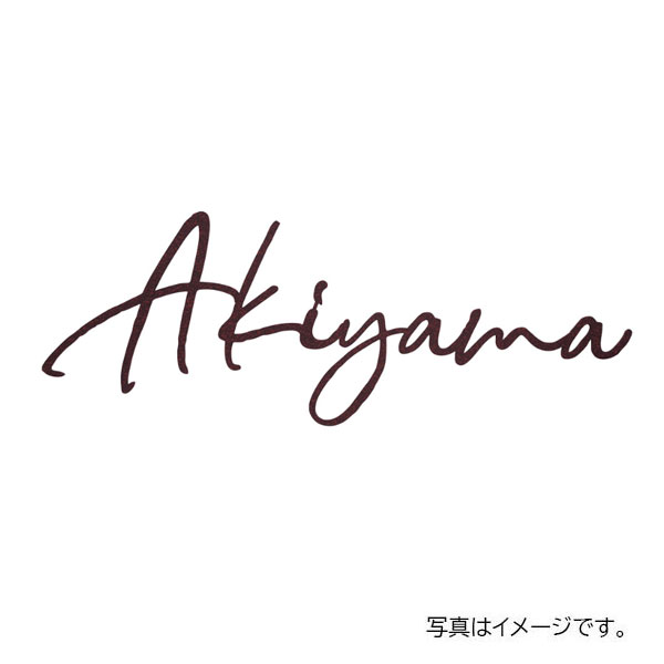 福彫 金属 スティロ (ステンレス切文字) KT-201