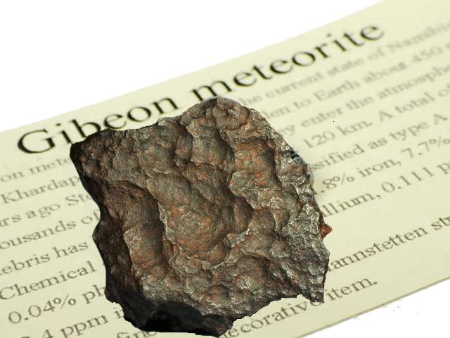 SCIENCE S覐 (覓S) W{ IN^whCguMxI覐΁iM{覐 Gibeon Iron Meteoritesj3.0g YnFi~rAa 1836NvIWiW{P[X 覓SiOctahedrite IVAj