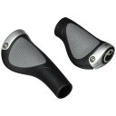 Ergon GP1-L Rohloff/Nexus: Large, Black/Gray by Ergon