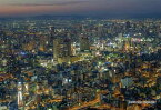 300ピース ジグソーパズル シリーズ日本の都市7 大阪府大阪市「浪速区夜景」 (26x38cm)