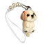 ڥåȥС  Dog 92 Shih Tzu  ɥۥ磻 ӡ ȥå DN-5001