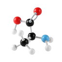 分子構造模型 U-Kiss 分子モデルセット有機と無機化学 【学生学習用】【教育用】 (240PCS)