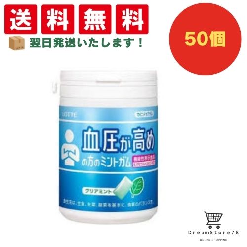 【できたてホヤホヤ!”賞味期限最新”をお届け】【お菓子 業務用 差し入れ 景品 イベント パーティー】 ロッテ マイニチケアガム 血圧が高めの方のミントガムスリ...