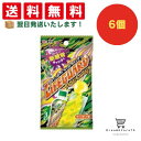【クーポン配布中 & 全品送料無料 】 コリス ライフガードペーストキャンディ 6個セット 8LINK