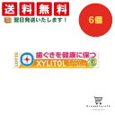 【クーポン配布中 & 全品送料無料 】 ロッテ キシリトール オーラテクトガム シトラスミント 6個セット 8LINK(4)