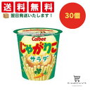 【クーポン配布中 & 全品送料無料 】 カルビー じゃがりこサラダ 30個セット 8LINK