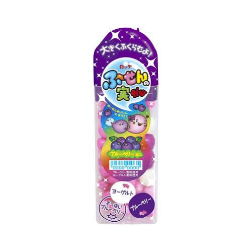 【クーポン配布中 & 全品送料無料 】 ロッテ ふ〜せんの実 ブルーベリー 10個セット 8LINK