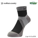 northern country ノーザンカントリー 吸汗速乾メリノウール使用SHORT SOCK ショートソックス 抗菌防臭 吸湿 保温 BK TR-1417 正規品(4)