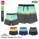 QUIKSILVER EVERYDAY WORDBLOCK VL YTH14 KBS251002 キッズ ボードショーツ 130-160cm 撥水 インナー付き スイムウェア 水着 ユース クイックシルバー 正規品(4)
