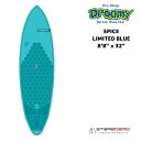 STARBOARD スターボード SPICE LIMITED 8'8