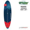 STARBOARD スターボード Wide Ride Whopper 10'0
