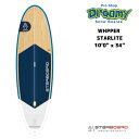STARBOARD スターボード Wide Ride Whopper 10'0
