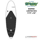 STARBOARD スターボード Wide Ride Whopper 11'0