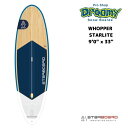 STARBOARD スターボード Wide Ride Whopper 9'0