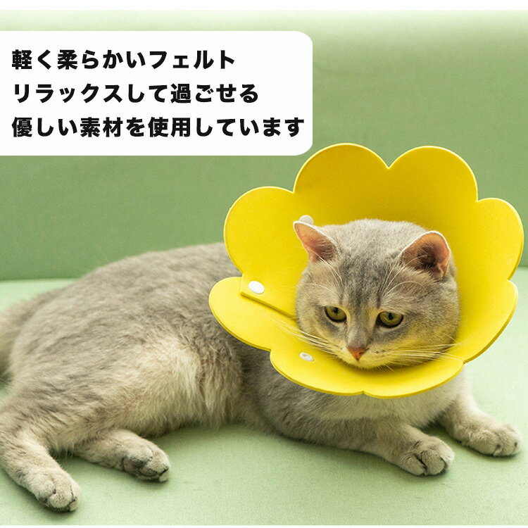 ���ꥶ�٥����顼 �ե���� �ե� �� ǭ ���Ӥ��ɻ� ���� ���餫 �ե�����Ǻ� �İ��� ���� �Ҥä����ɻ� ��Ѹ� ���� �� �Ӥ� �ɻ� �ڥå� ���ȥ쥹�ڸ� �Ҥޤ�� �볦���� �����ݸ�