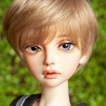 RSDOLL -DOLLM ORVIL(Ρޥ륹)¨Ǽɡ