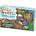いきものみっけ!かるた 海辺のいきもの カルタ 遊んで学べる アーテック 21657