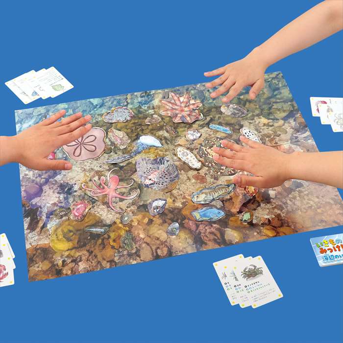 いきものみっけ！かるた 海辺のいきもの カルタ 遊んで学べる アーテック 21657 2