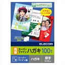 【代引不可】ハガキ用紙/スーパーファイン/厚手/両面/100枚 エレコム EJH-WSFN100