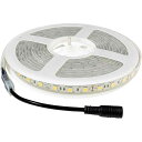 電球色チューブライト防水 12V 2M ガーデンライト イルミネーションライト 照明 LED照明 照明器具 電球色発光 富士倉 60WWV12TWP2M