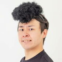 カンタン変身 スーパーリーゼント ツッパリ 不良 硬派 かつら ウィッグ かぶりもの コスプレ 仮装 変装 グッズ 小道具 ルカン 6312