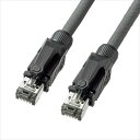 LANケーブル 0.5m グレー CAT6A STP 10GbE 超高速ネットワーク対応 ツメ折れ防止カバー サンワサプライ KB-T6ASTP-005GY