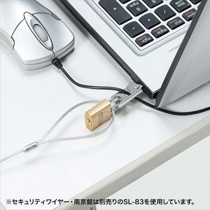 eセキュリティ nanoSaver スロット対...の紹介画像2